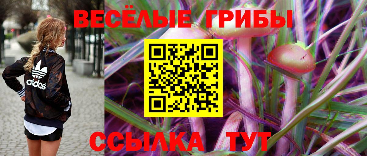 Псилоцибиновые грибы прущие грибы  Вход с VPN  Рассказово 