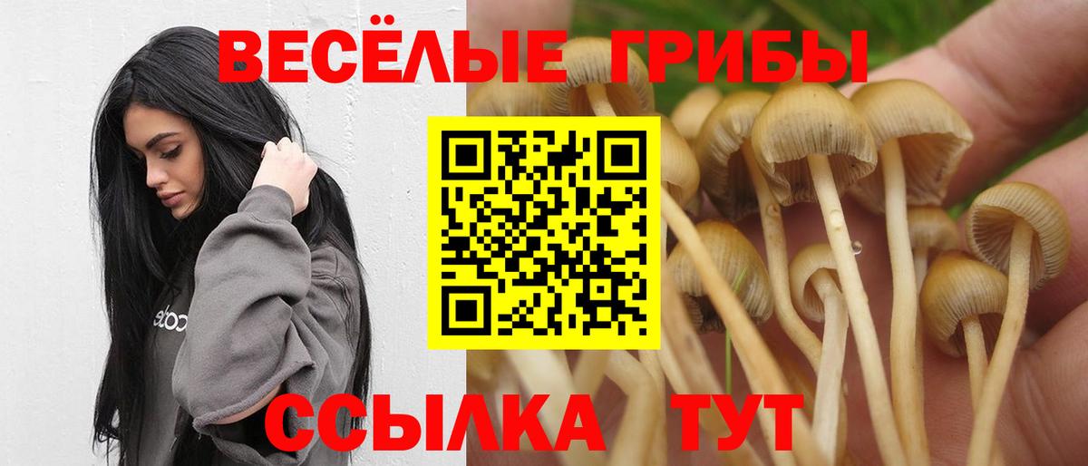 Галлюциногенные грибы прущие грибы Рассказово